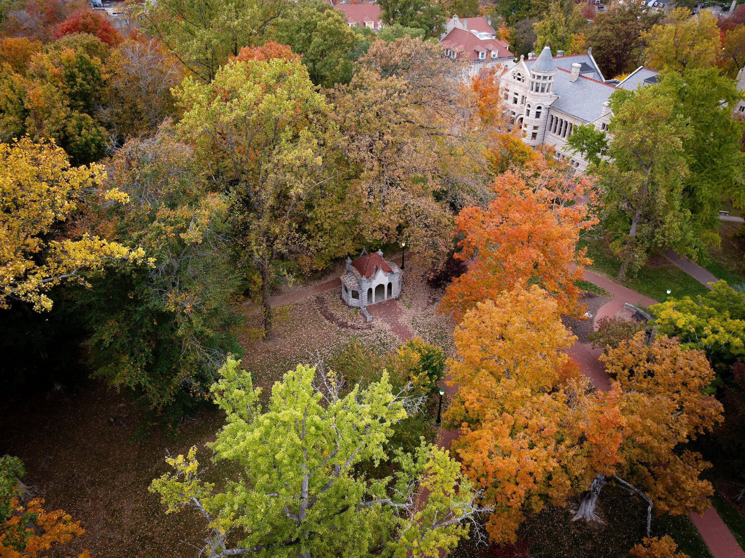 Aerial Scenics — photograph by Alex Kumar (October 2024)